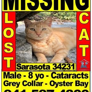 Meet your Posher, Aurelie